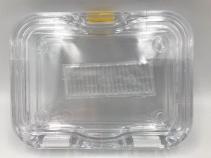 018437-020-00