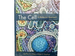 The Cell 7th