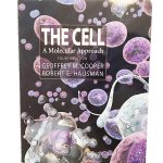The cell 4th
