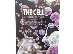 The cell 4th